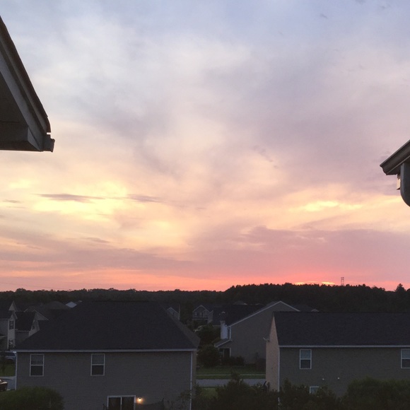 Meet your Posher, Lil - Picture 1 of 1